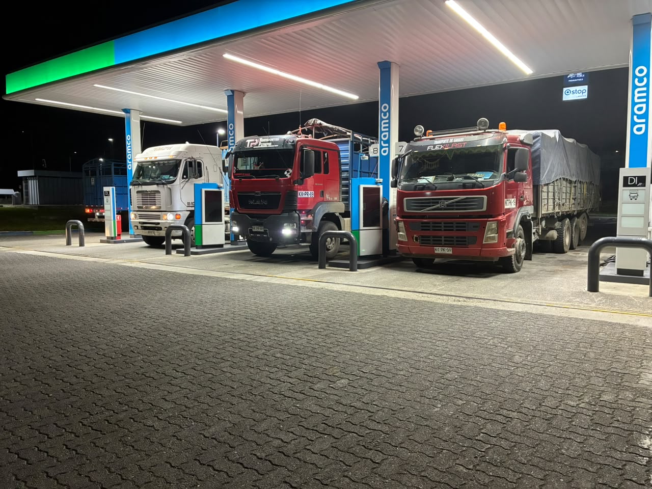 Flota de Transportes Pineda · Patagon Cargo