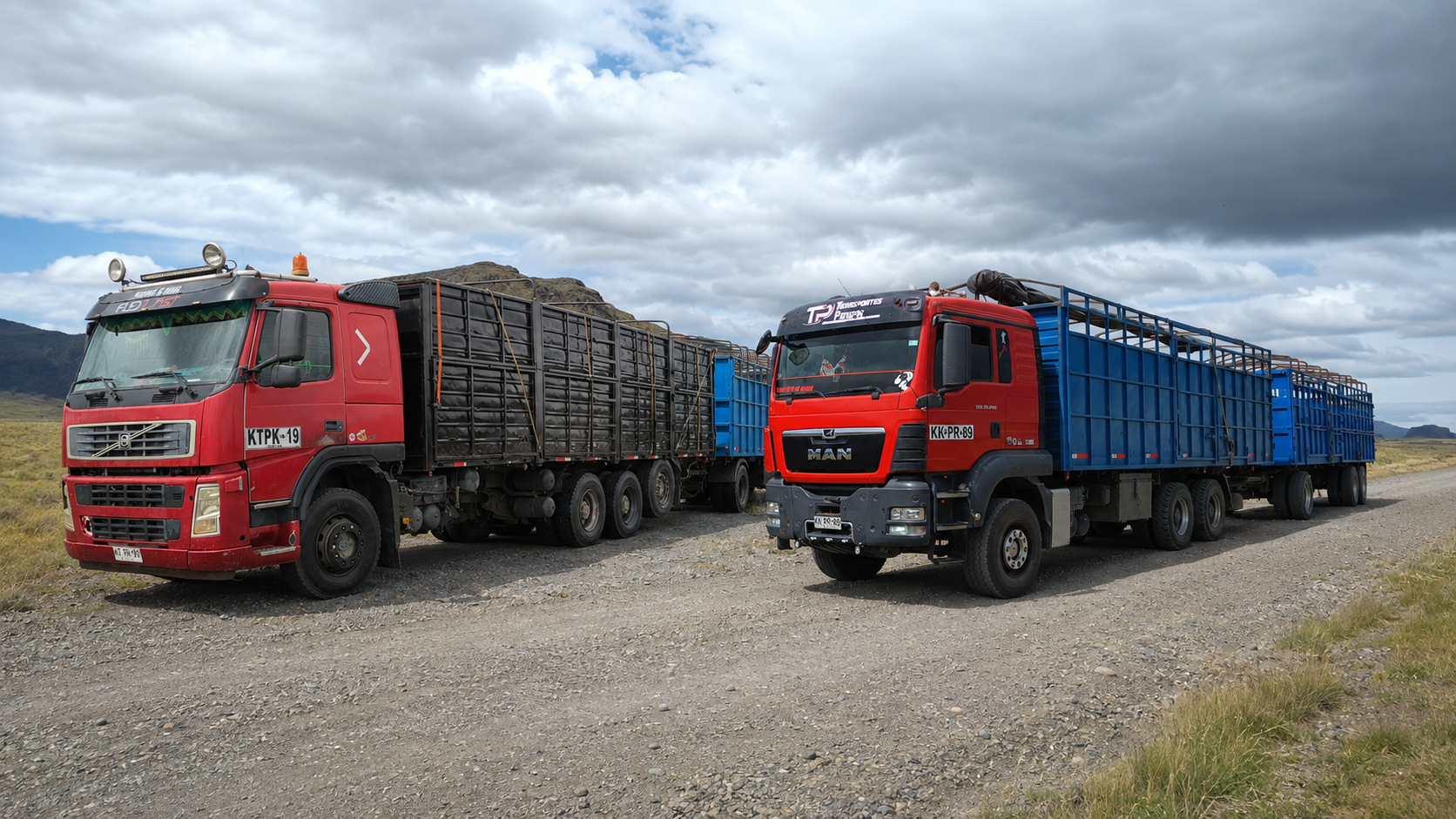 Servicio de transporte de ganado Patagon Cargo